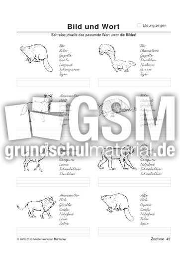 BuW Zootiere46.pdf